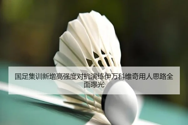 国足集训新增高强度对抗演练伊万科维奇用人思路全面曝光